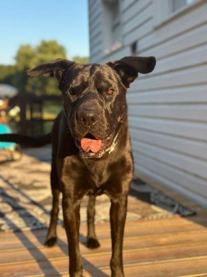 Guest review image 1 of 1, zoom in