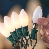 20CT LED Sylvania Ceramic Stay-lit Parallel Wired Feature Indoor Outdoor Filament String Lights Bulb With Green Wire - 2 of 3