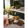 Magnolia Table Silo Cookies Frozen Cookie Dough - 16oz - 3 of 4