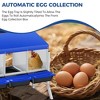 Weatherproof Metal Chicken Nesting Box with 4 Holes & Removable Tray - Automatic Rollout Egg Collection - Easy Clean & Quick Assembly for Hens - 4 of 4