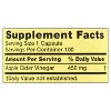 Spring Valley Apple Cider Vinegar Capsules, 450mg, 100 Count - 2 of 4