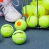 GAMMA Sports Orange Dot 60 Tennis Ball - 2 of 4