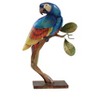 Beachcombers Set of 2 Capiz Parrots - 3 of 4