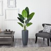 Nearly Natural 5.5-ft Traveler's Palm Artificial Tree in Gray Planter - 2 of 3