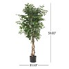 PAGED Artificial Ficus Trees with Pot, Artificial Tree with Natural Wood Trunk, Indoor Outdoor Fake Plant, Home and Office Decoration for Foyer, Porch - 2 of 4