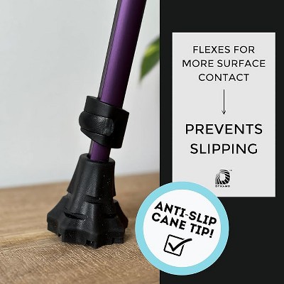 Boersma Cane Tip Replacement,Premium Walking Cane Replacement Tip for Enhanced Stability, Ideal for Walking Canes and Walking Sticks,for Men and Women