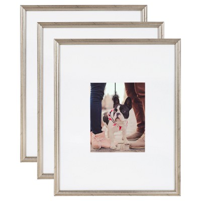 16 X 20 Adlynn Wall Frame Silver - Kate & Laurel All Things Decor : Target