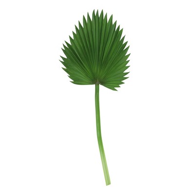 Northlight 32" Green Palm Leaf Fan Artificial Spray with Long Stem