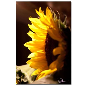 Trademark Fine Art -Martha Guerra, 'Sunflower II' Canvas Art - 1 of 1