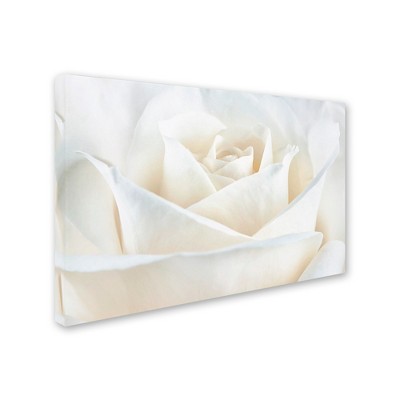 Trademark Fine Art -Cora Niele 'Pure White Rose' Canvas Art