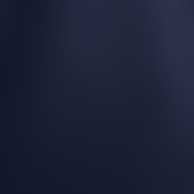 20006-navy