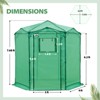 EAGLE PEAK 6.6x6.6 ft Hexagon Pop up Greenhouse, Portable Walk-in Grow Tent, All-Weather Plant Shelter - 3 of 4
