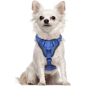 rabbitgoo Dog Harness, No Pull Dog Vest Harnesses with Bungee Handle & 2 Metal Clips, Belly Adjustable, Soft Padded for Large Medium Small Dogs - 1 of 1