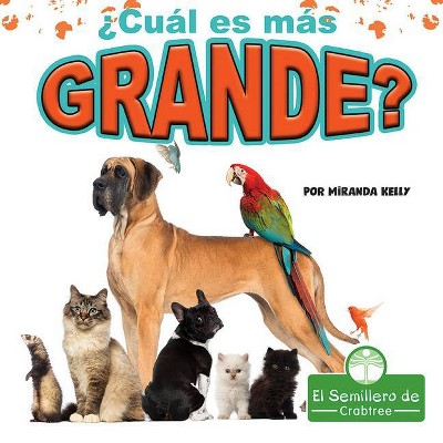 ¿cuál Es Más Grande? - (Primeros Conceptos) by  Miranda Kelly (Paperback)