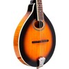 Gold Tone A-Style Mandolin with Pickup Tobacco Sunburst - 3 of 4