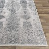 Hauteloom Shipdham Living Room, Bedroom Area Rug - Traditional - 3 of 4