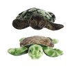 Aurora® Mini Flopsie™ Sealife Duo 8" Inch Plush Set, Splish & Splish-Splash Sea Turtle - 3 of 4