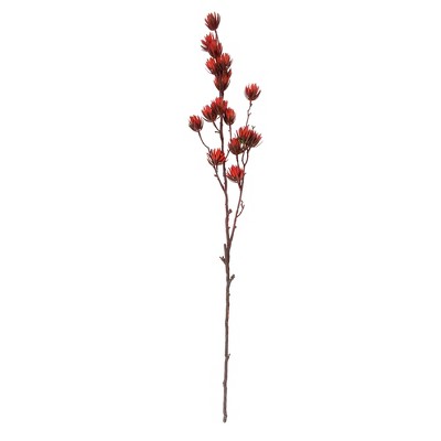 Northlight 37" Maroon Red and Brown Artificial Desert Protea Blooming Floral Spray