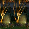C Cattleya Outdoor LED Landscape Spotlight with Ground Stakes for Garden Pathway and Courtyard - 4 of 4