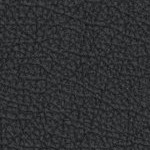 west virginia mountaineers