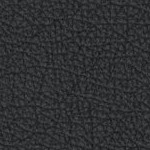 west virginia mountaineers