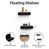 Dsvimoy Planter Stands and Holders Planter Stands Shelf with Invisible Brackets for Home Storage, Black, 18"*7"*4" - 3 of 4