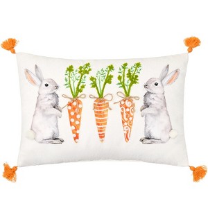 The Lakeside Collection Bunnies & Carrots Embroidered Decorative Pillows - 1 of 3