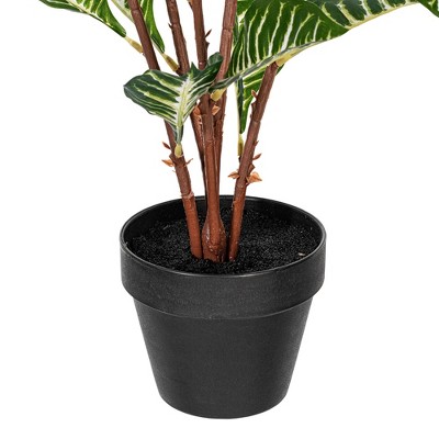 Tiny Green Faux Zebra Plant in Black Pot