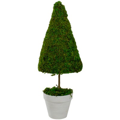 Northlight 20.5" Reindeer Moss Potted Artificial Spring Floral Topiary Tree - Green/White