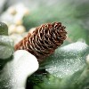 Sullivans Artificial 30" Frosted Pine Berry Stem, Green - 2 of 2