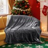 Bedsure Heated Blanket - Fast Heating Electric Blanket Soft Flannel Heated Throw Warm Gifts for Family - 2 of 4