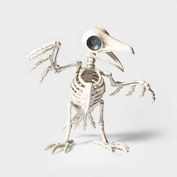 Raven Skeleton Halloween Decorative Prop - Hyde & EEK! Boutique™