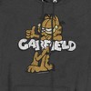 Garfield Retro Garf Pullover Hoodie - 2 of 4