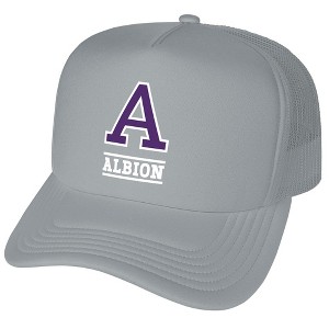 Gender Neutral Official Albion College Primary Logo Foam Snapback Trucker Hat - for Men and Women Grey Grey One Size - 1 of 4