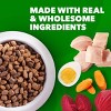 IAMS Proactive Health Chicken and Whole Grain Flavor Minichunks Dry Dog Food - 3 of 4