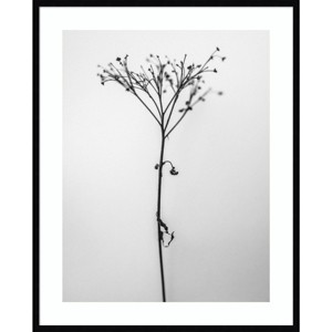 33" x 41" Amid The Flowers 13 by Teis Albers - Amanti Art: Botanical Giclee Print, Vertical Wall Decor - 1 of 4
