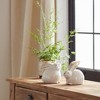 Terra Cotta Bunny Christmas Accents for Spring or Easter Decorating (Set of 4) by Melrose - 4 of 4