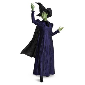 NBCUniversal Adult Wicked Elphaba Halloween Costume - 1 of 4