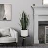 Seasonal LLC Artificial Potted Snake Plant 31in - 2 of 4