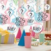 Big Dot of Happiness Baby Gender Reveal - Team Boy or Girl Party Hanging Decor - Party Decoration Swirls - Set of 40 - 2 of 4