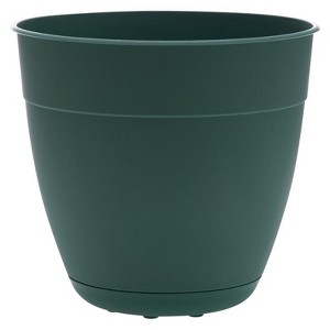Bloem Dayton 7.5 in. H X 8 in. D Plastic Transitional Planter Turtle Green - 1 of 1