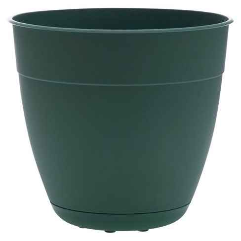 Bloem Dayton 5.75 in. H X 6 in. D Plastic Transitional Planter Turtle Green - image 1 of 1