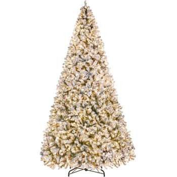 Vickerman 7.5' x 56 inch Frosted Danbury Spruce Artificial Unlit Christmas Tree.