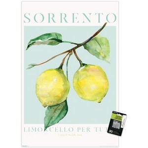 Trends International Reinders: Fruit Market - Limoncello Per Tutti Unframed Wall Poster Prints - 1 of 4
