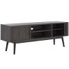 Aphra 2 Door 2 Shelf Media Stand - MED9624 - Safavieh - 3 of 4