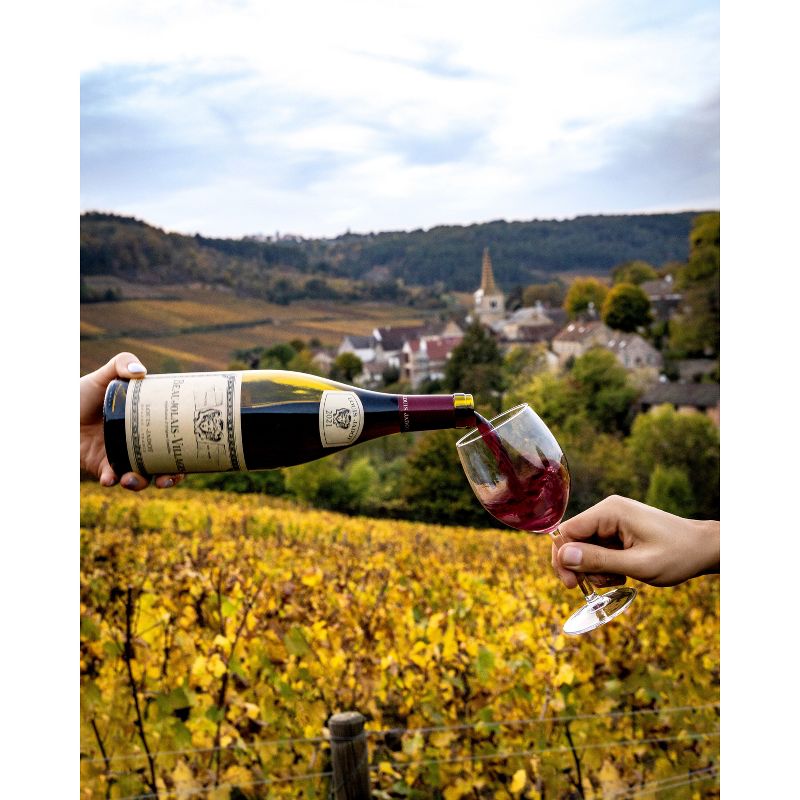 Louis Jadot Beaujolais Villages Red Wine - 750ml Bottle, 6 of 10
