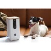 Dogness Smart Hd Wifi Camera Treat Dispenser - White : Target