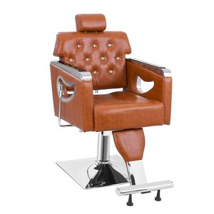 Karl Home All Purpose Heavy Duty Reclining Hair Salon Chair with Headrest Brown - 1 of 4