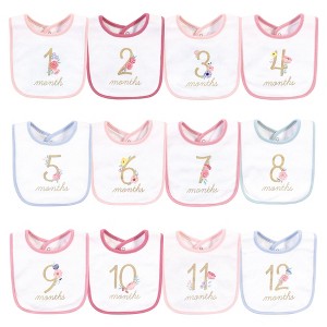 Hudson Baby Infant Girl Cotton Bibs 12pk, Milestone Floral, One Size - 1 of 2