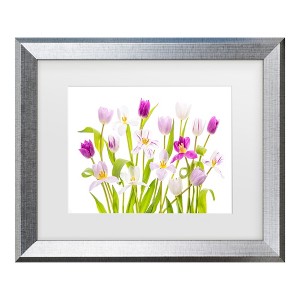 Trademark Fine Art - Jacky Parker  Tulipa Spring Matted Framed Art - 1 of 4